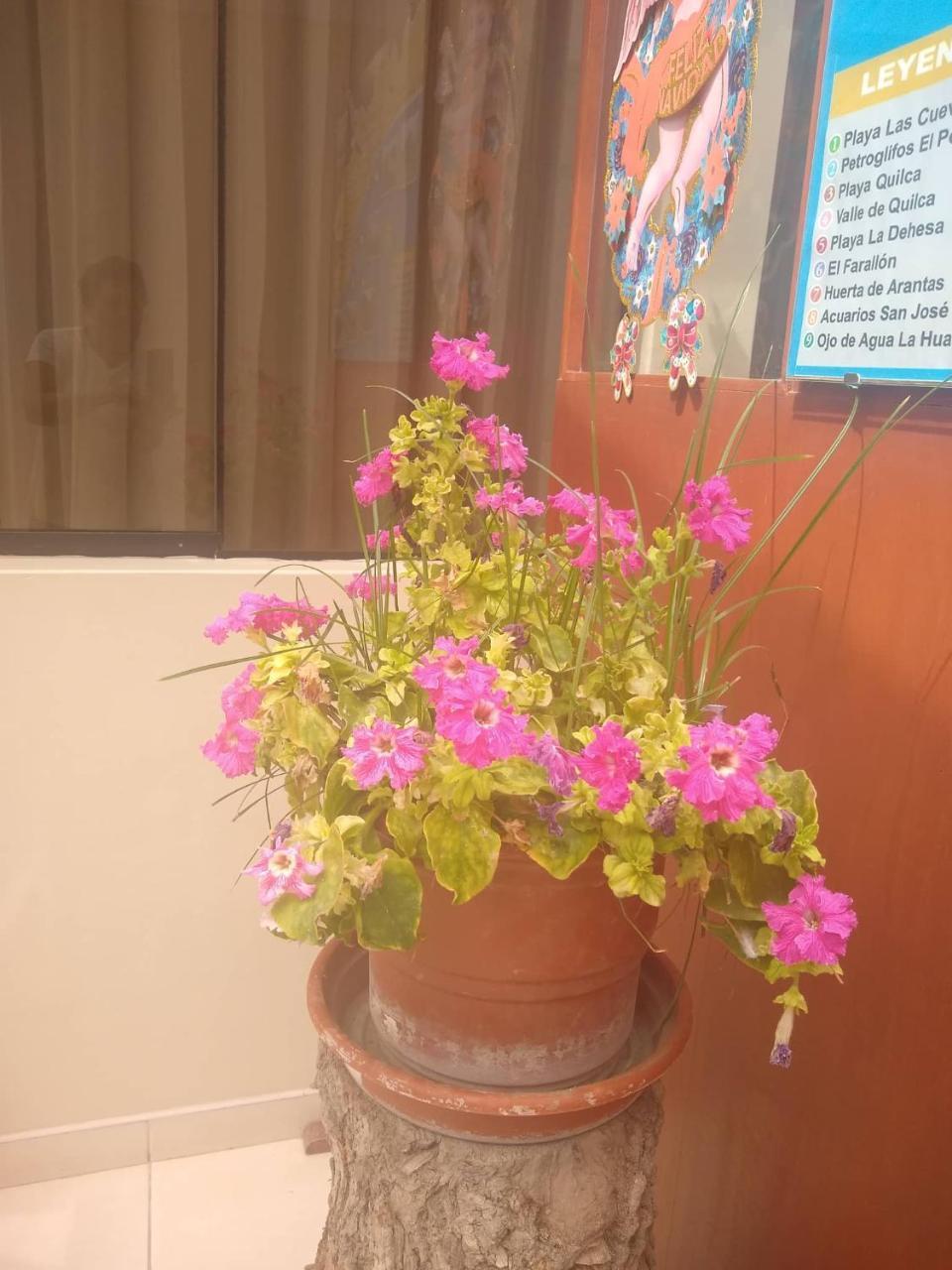 Hospedaje Golden Inn كامانا المظهر الخارجي الصورة